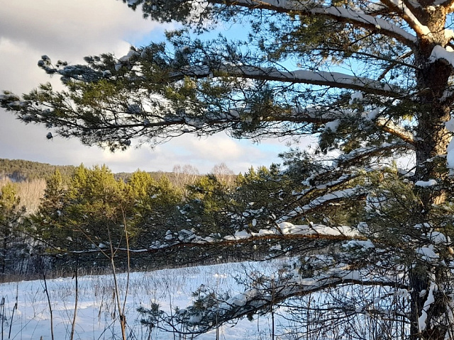 Создание Экотропы в Новосибирской области в горах